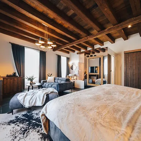 Nm Boutique 4* Όλομουτς
